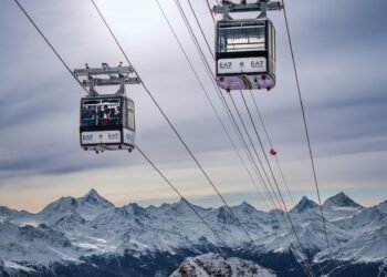 Innovación y desarrollo