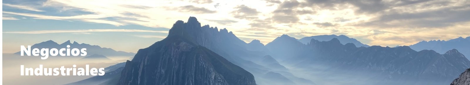Proyectos Industriales en Monterrey